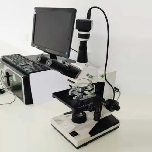 Mikroskopio elektronikoa